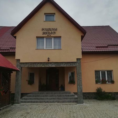 Pensiunea Schilacy Grosii Tiblesului Zewnętrze zdjęcie